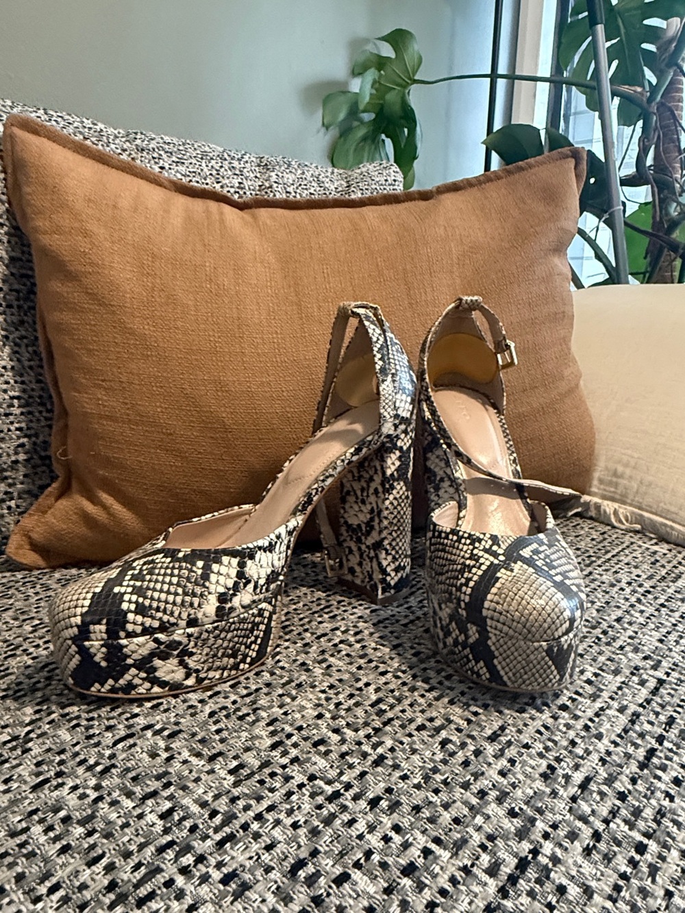 Aldo Snake-Print Platform Block Heel Slingbacks - Black & Cream
